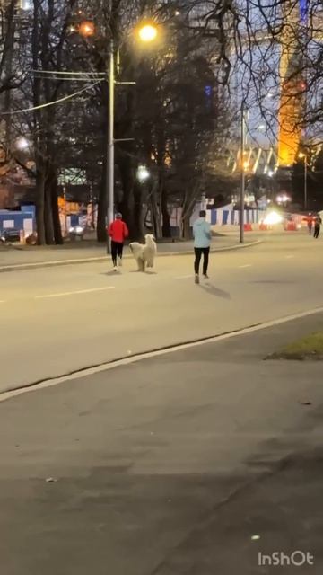 бег с препятствием🔥🔥🔥