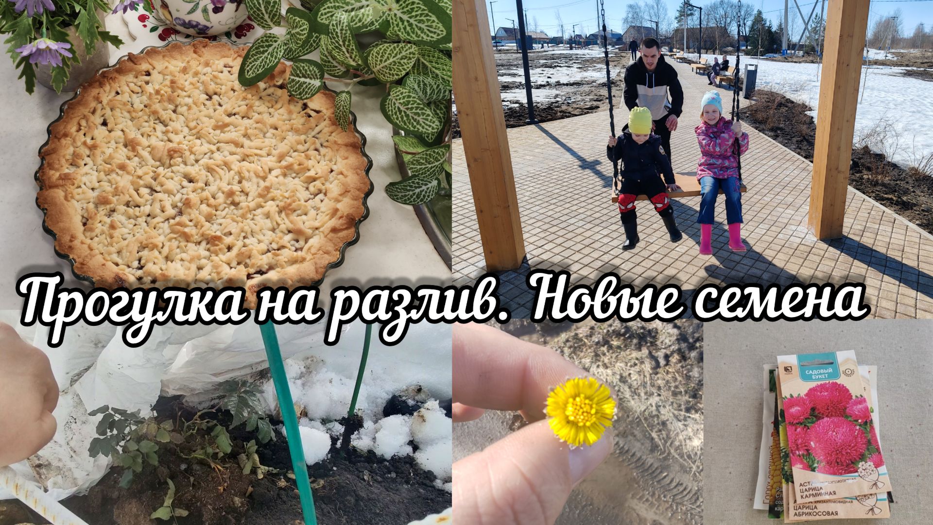 Поездка на разлив.Купила новые семена.Спилила Сирень