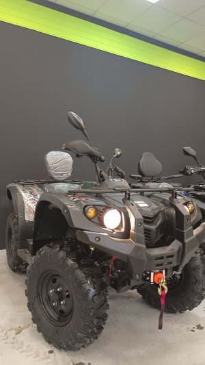 Квадроцикл Baltmotors Striker 500 EFI Long ( replica Yamaha Grizzly )