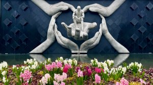 Вечер в парке Галицкого и туман над озером Старости (оно же Лесное озеро) в парке Облаков