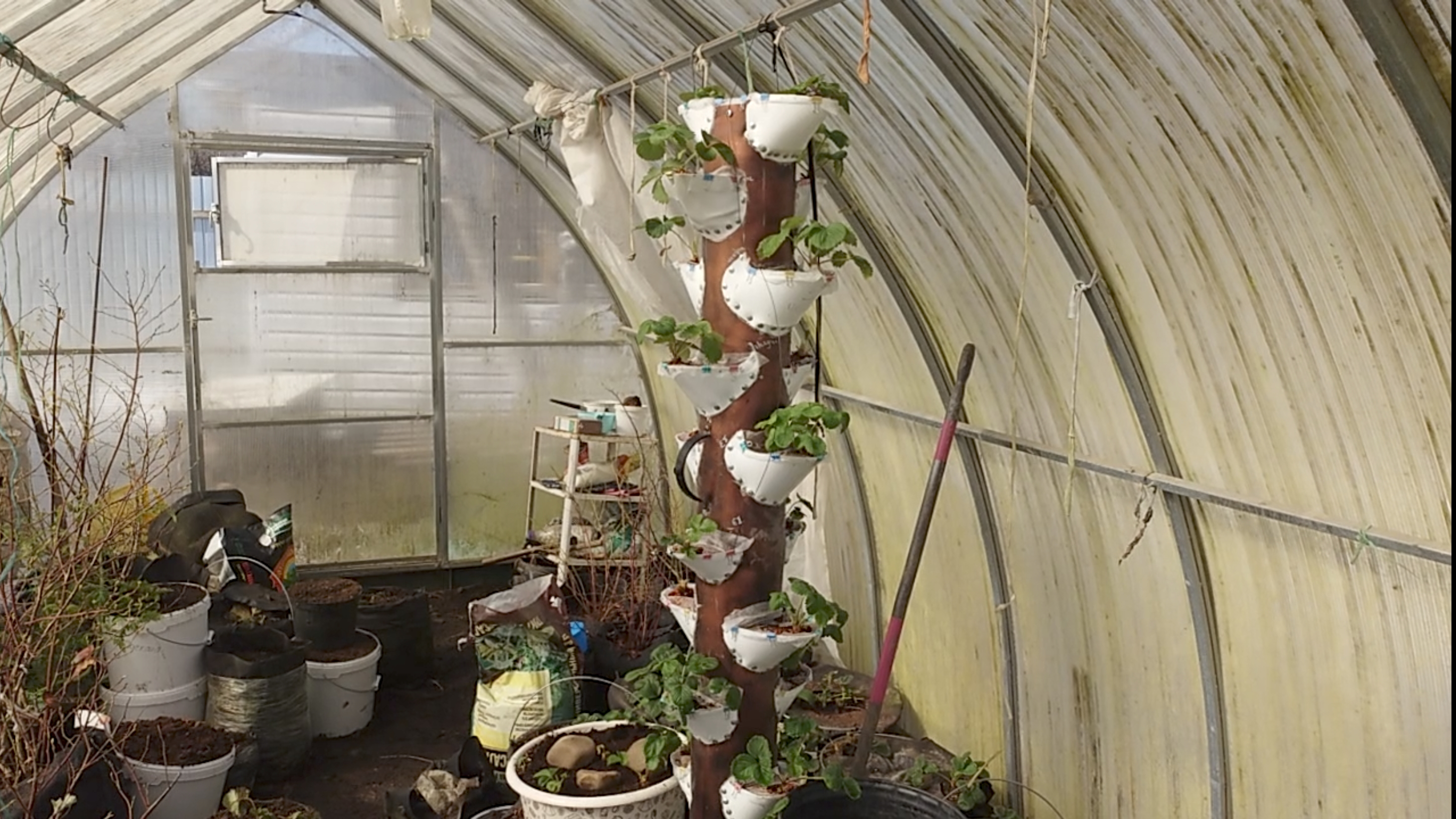  ГРЯДКА ДЛЯ КЛУБНИКИ  ИЗ ТРУБЫ 160 ММ