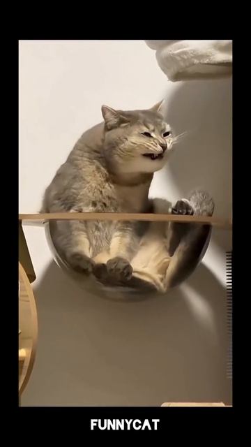 пока я делаю видео буду ставить рандом видео так что не судите строго °3