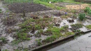 А, у нас каждый день льют дожди.