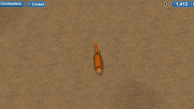 Инфа об моих племенах!