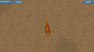 Инфа об моих племенах!