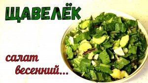 ЧТО ПРИГОТОВИТЬ СО ЩАВЕЛЕМ, КРОМЕ СУПА. ВЕСЕННИЙ и ЛЁГКИЙ САЛАТ «ЩАВЕЛЕК». СОЧНЫЙ и ОСВЕЖАЮЩИЙ!