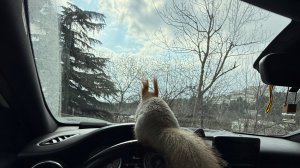 Чип на массаже 😁