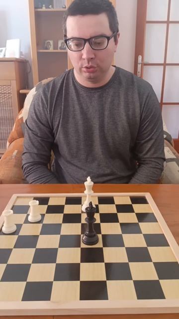 Как поставить мат двумя ладьями в шахматах