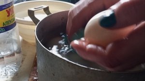 Инкубация утиных яиц началась. Куриные собираю. Подготовка яиц к инкубации.