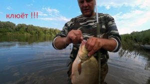 Дедовские снасти ловят. Рыбалка на леща.Ловля на сало и тверскую.