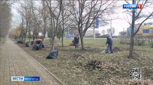 Белгородцы приводят в порядок общественные пространства