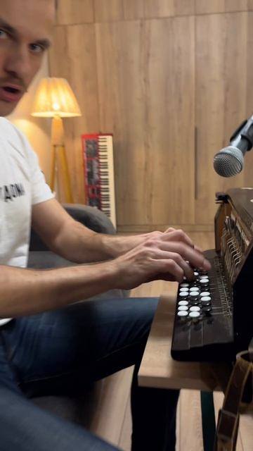 Du Hast на пневмо-баяне