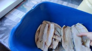 В нашем хозяйстве прибыло.