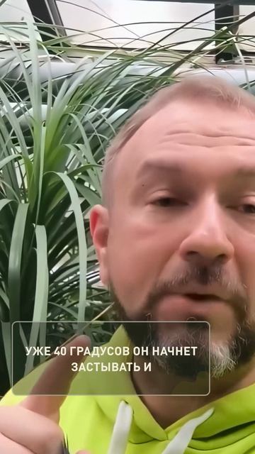 🌿✨ОТ ЭТОГО КУХОННОГО ПОРОШКА вся рассада ИЗУМРУДНАЯ и ЖИРНАЯ!