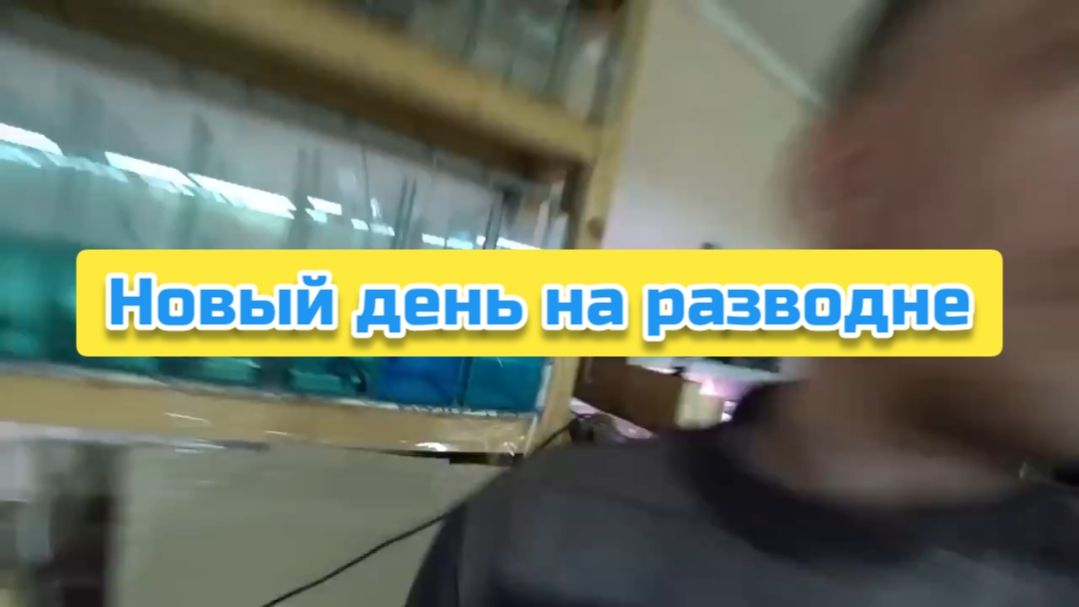 Новый день на разводне