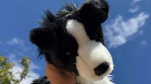 расписание для Окси ☺