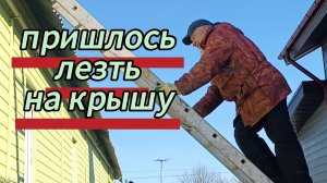 Пришлось лезть на крышу. Первые цветы. Обрезали всю сливу. 04-04-2026