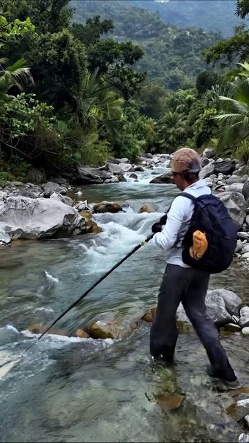 Красота горной реки в джунглях #природа #река #пейзаж