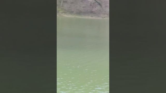 Кипарисовое озеро Сукко 3 Апреля 2026 года. Репортаж Светланы Тихоновны.