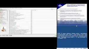 КСИОН Пермского края