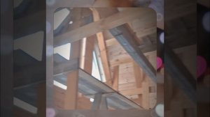 1000055045.mp4 (Собака наблюдает за устройством лестницы на 2-ой этаж в доме А-фрейм)