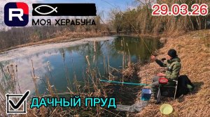 Херабуна. Дачный пруд. Карась.