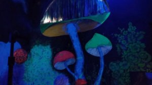 Культурно-этнографический центр Роза Хутор 4.04.26.