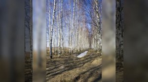 Звуки весны