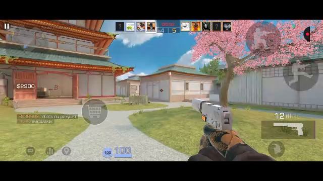 2 трансляция за день