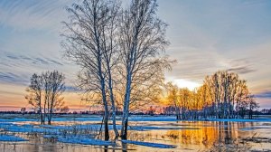 Стрим вертикальный 🔃 по приколу 😜🎇🎆