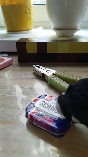 напиши пожалуйста идеи в комментариях для видео