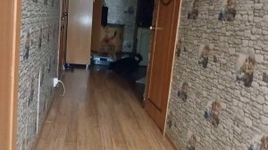 Учим с Каем Апорт)