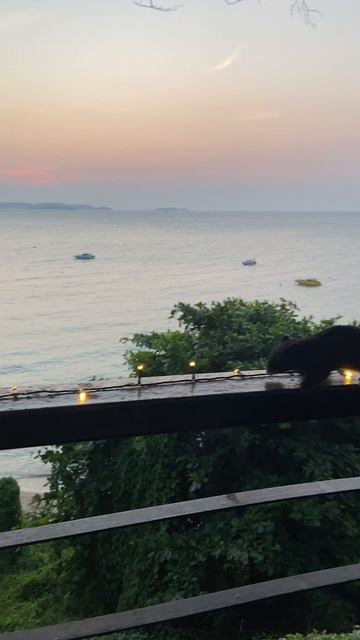 #таиланд #тай #паттайя #джунгли #море