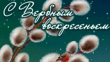 Верба - к счастью. С вербным воскресеньем. Красивая музыкальная открытка.