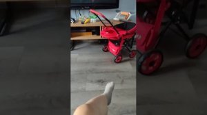 Просто рассказываю о жизни.