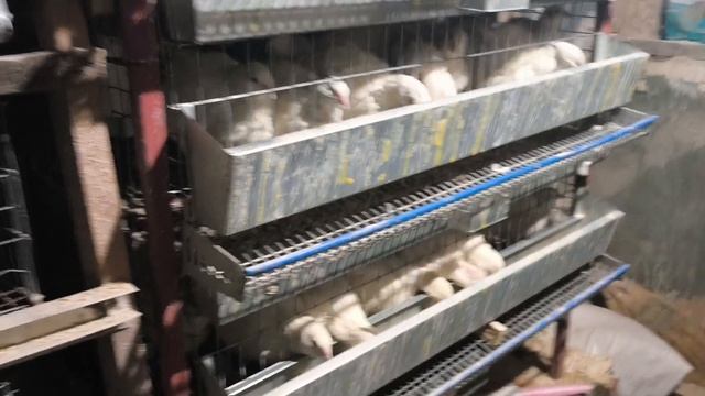 Много сделали. Всем поделили.