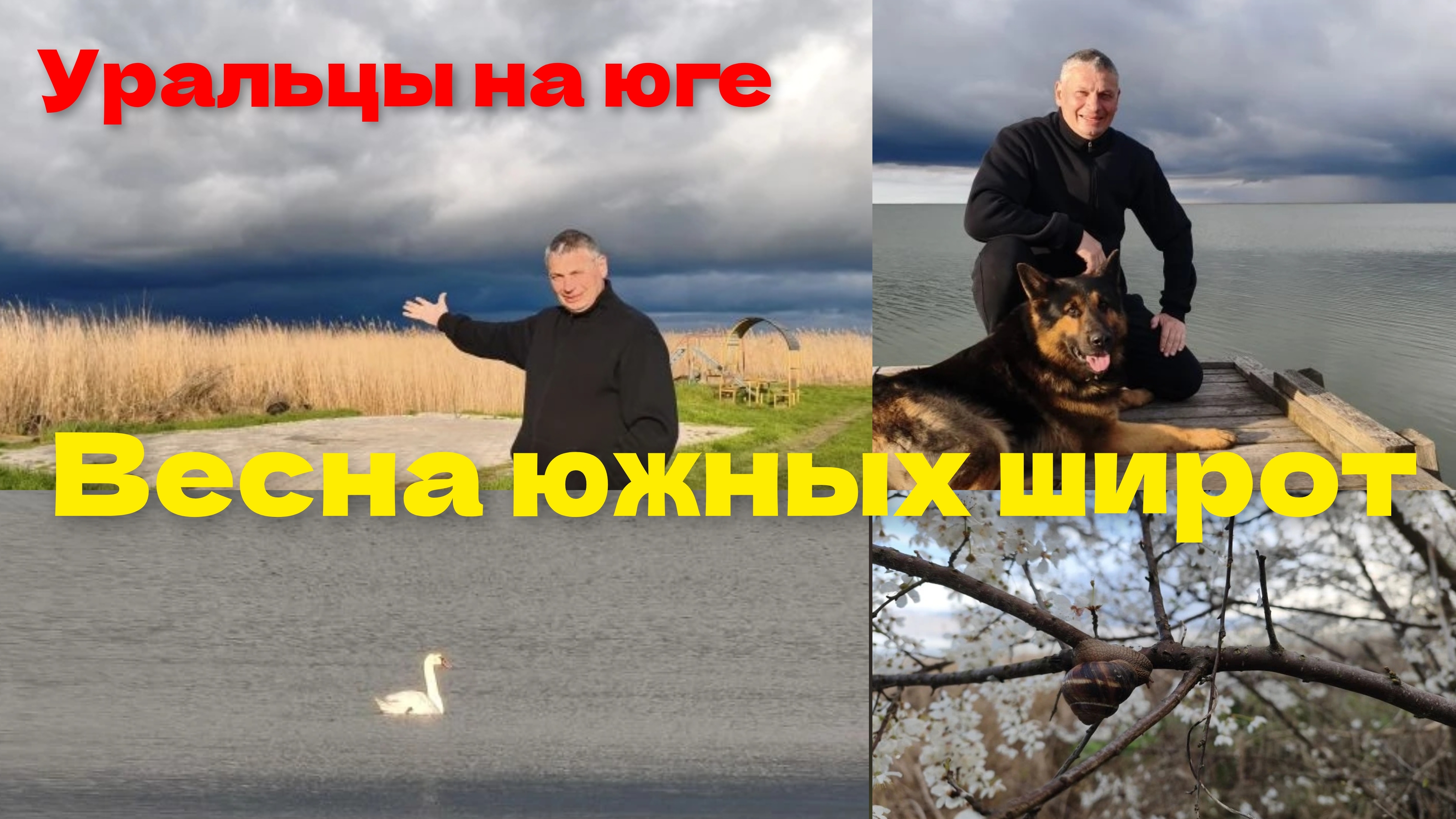 Необычное утро.Все при делах.Небесная сила.