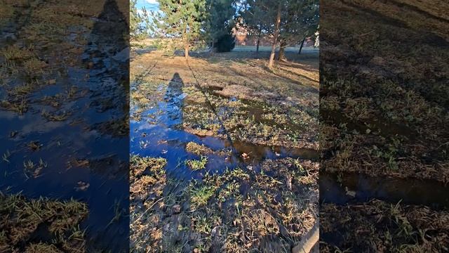 Весна время пробуждения..mp4