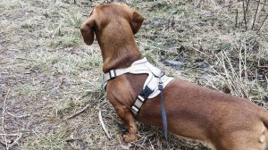 тропа здоровья