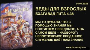 Веды для взрослых. Бхагавад-гита 4.38