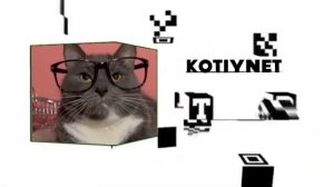 Next Tri Koshaka, Later Kotiynet.