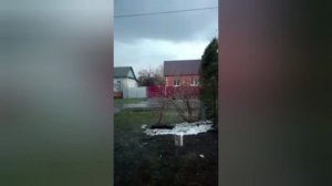 Цвета  синий, зелень