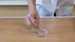 Окрашивание раствора амииака