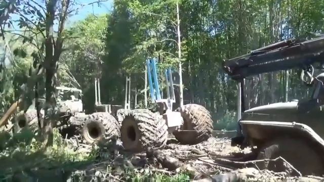 Лесовозы месят грязь