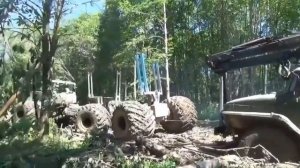 Лесовозы месят грязь