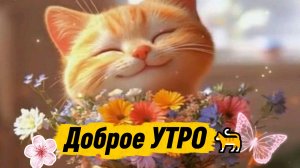 Доброе УТРО 🐈 Красивое пожелание с добрым утром.