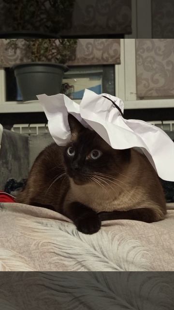 Филипп в шапочке ну точно котамилашка!💗