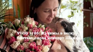 VLOG 1/26: Из зимы в весну, болтаю, снова концерт Шамана