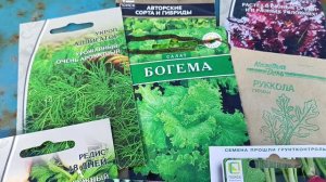 Открытие садового сезона сегодня традиционно начала с теплицы