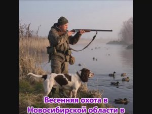Открытие весенней охоты 2026 в Новосибирской области